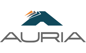 Auria Solutions UK I Ltd